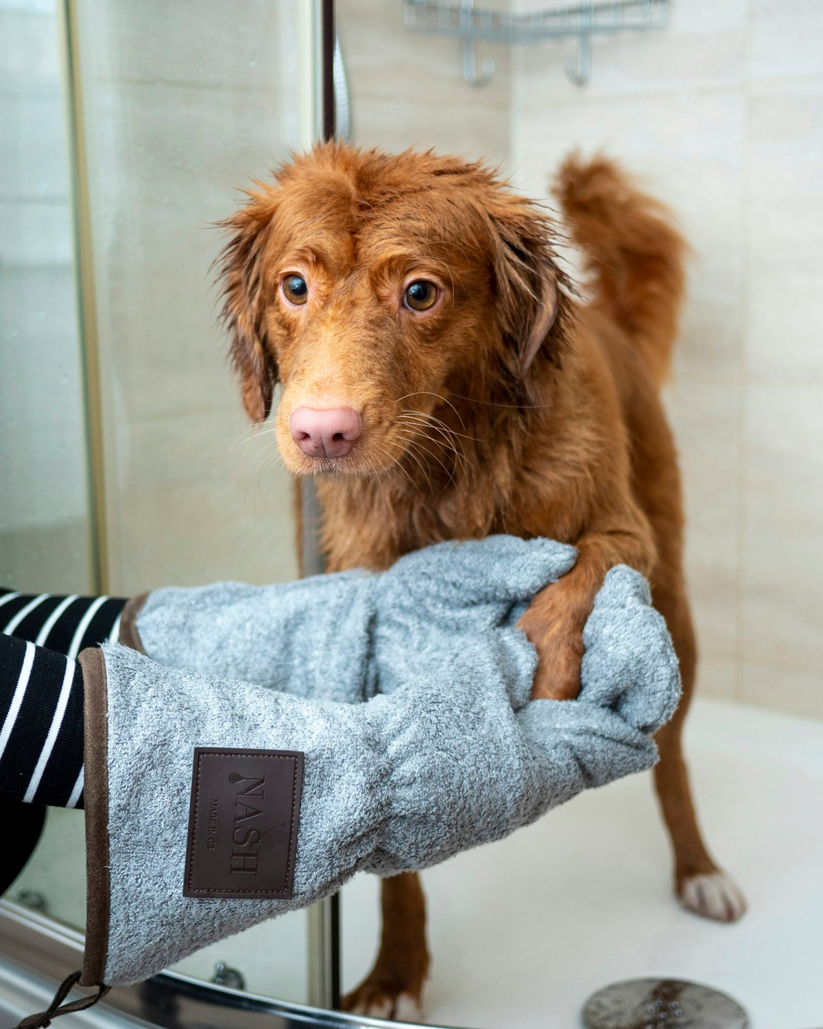 Groomer drying a brown dog with a towel mitt